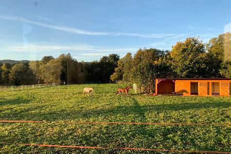 Dvojboxy se sedlovnou a seníkem